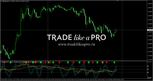 23 11 2016 0 16 19TDI Red Green Stoch Kino (1)