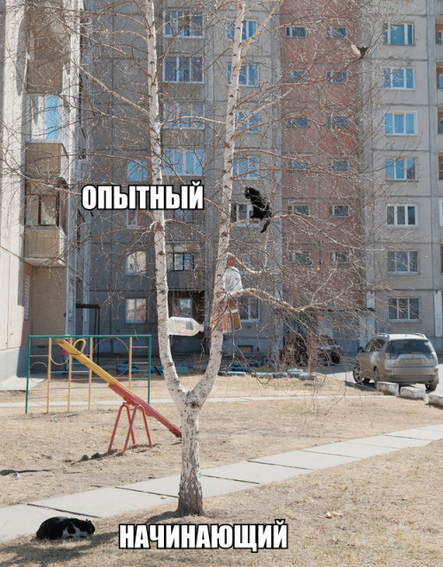 нач и опыт