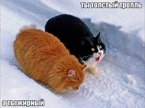 3 тролли