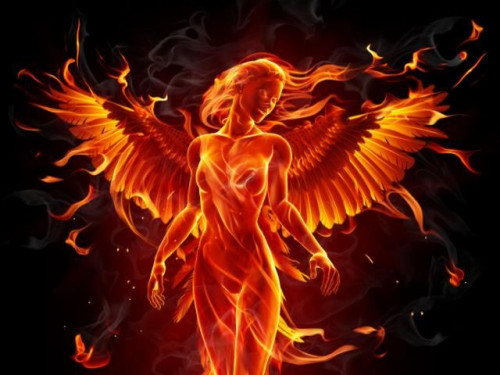 1f272fa55eab9469d6960db042c7a39f--rising-phoenix-tattoo-phoenix-tattoos.jpg