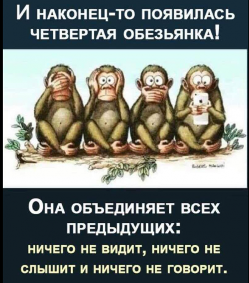 4 обезьяны
