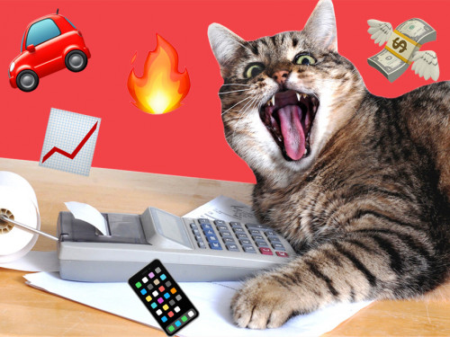 cat, calculator