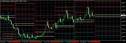 USDCADDaily9