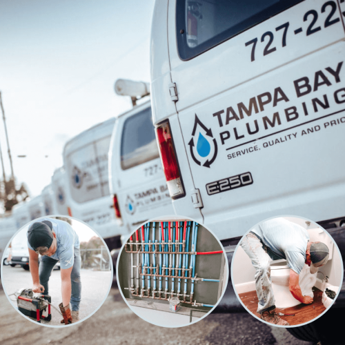 Tampa Bay Plumber contains a team of dedicated and experienced plumbers that can handle any plumbing project in residential homes or commercial offices.
https://tampabayplumber.com/